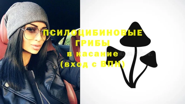 дживик Арсеньев