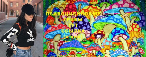дживик Арсеньев
