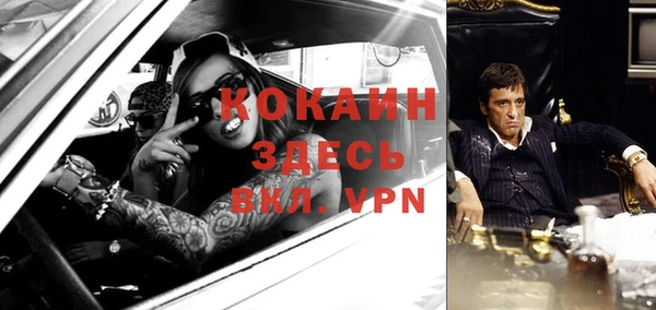 дживик Арсеньев
