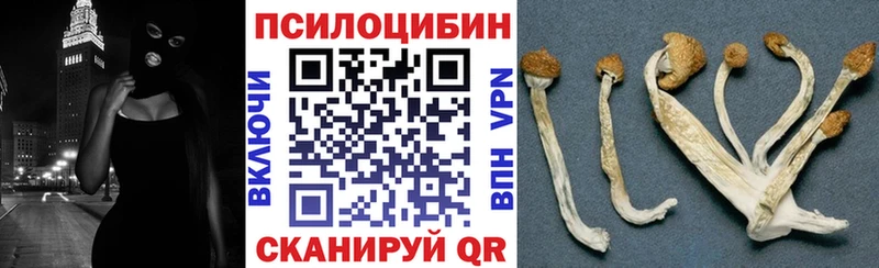 Псилоцибиновые грибы Psilocybe  Купить  Карабулак 